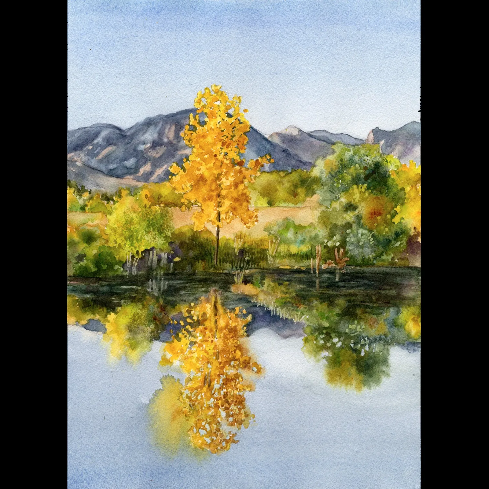 Artwork by Anne Gifford