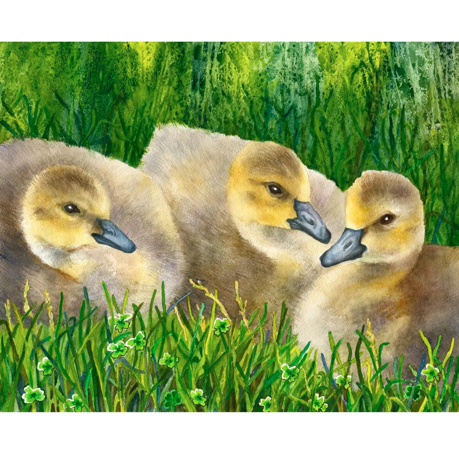 Artwork by Anne Gifford