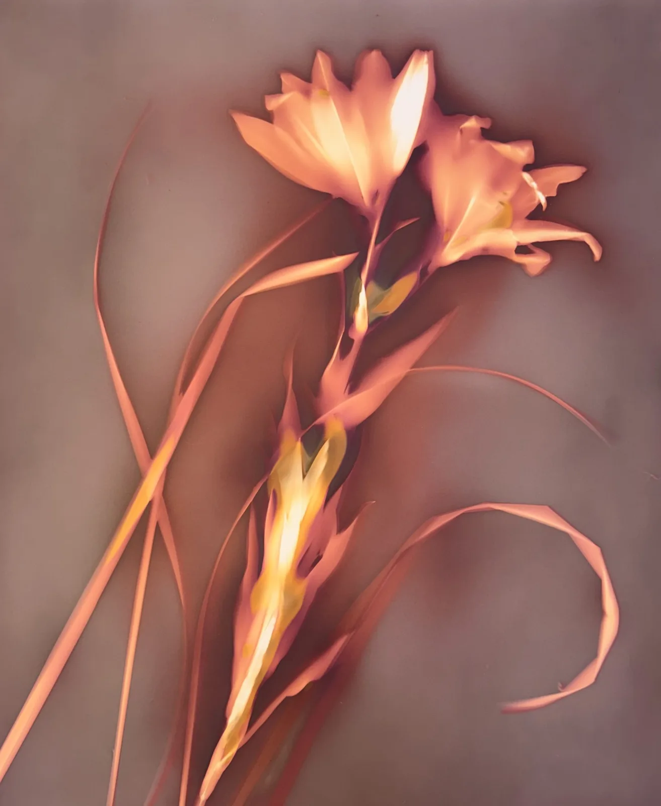 Artwork by Debbie Bentley