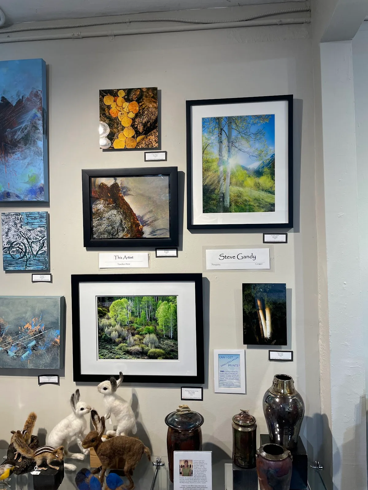 pARTiculars Art Gallery and Teaching Studio gallery space, view 7